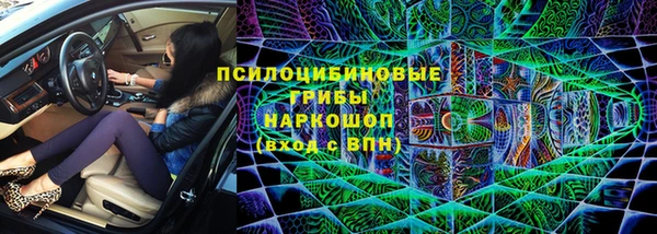 spice Арсеньев
