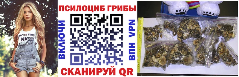 Галлюциногенные грибы ЛСД  закладки  Сусуман 